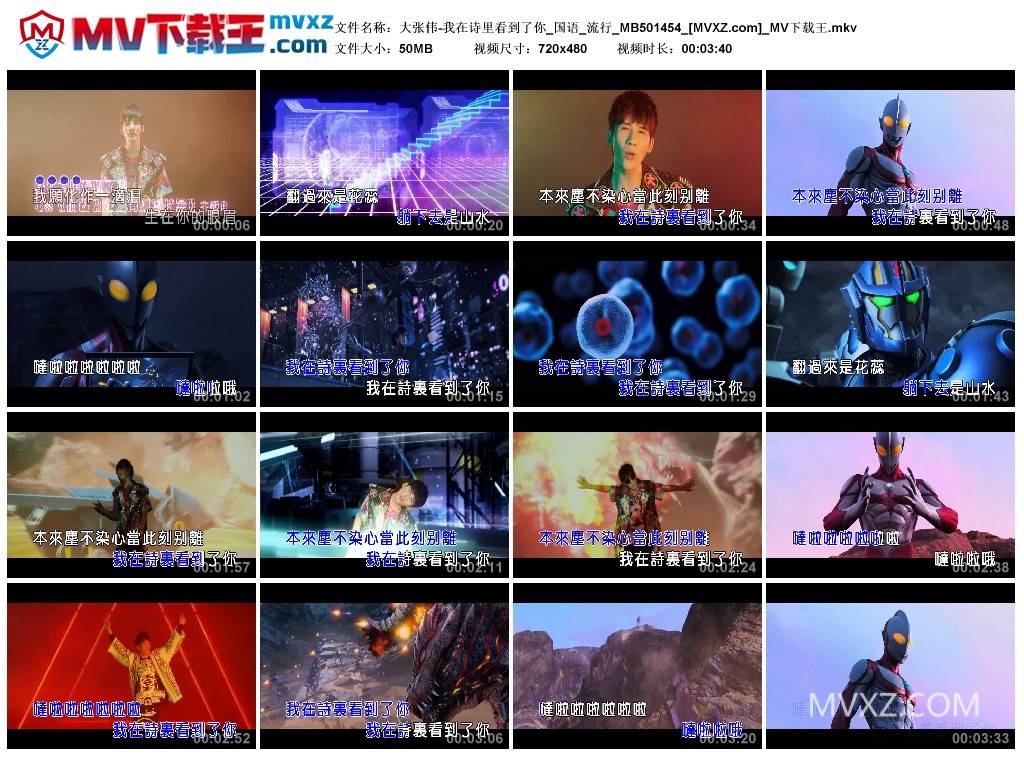 大张伟-我在诗里看到了你_国语_流行_MB501454